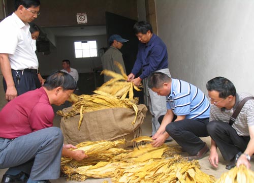 中国控制吸烟协会常务副会长贺青华回应每经：要对吸烟人群减存量控增量，重点要让青少年免受烟草危害