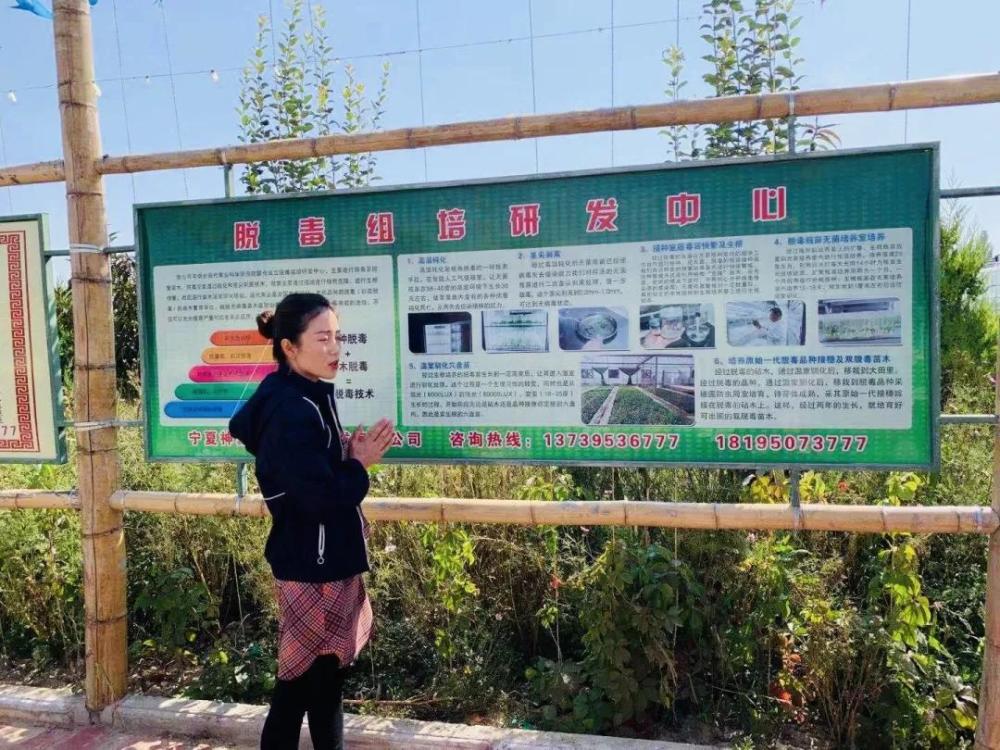 中国平安发布“服务内蒙古乡村振兴三年计划” 提供超10亿元涉农产业资金支持