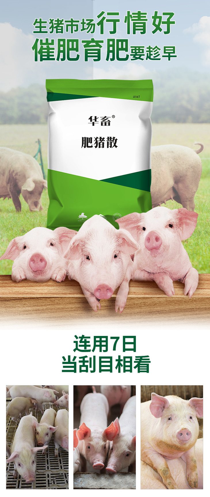 新五丰：当前仔猪出栏成本较年初下降了25%以上、肥猪增重成本较年初下降了15%以上