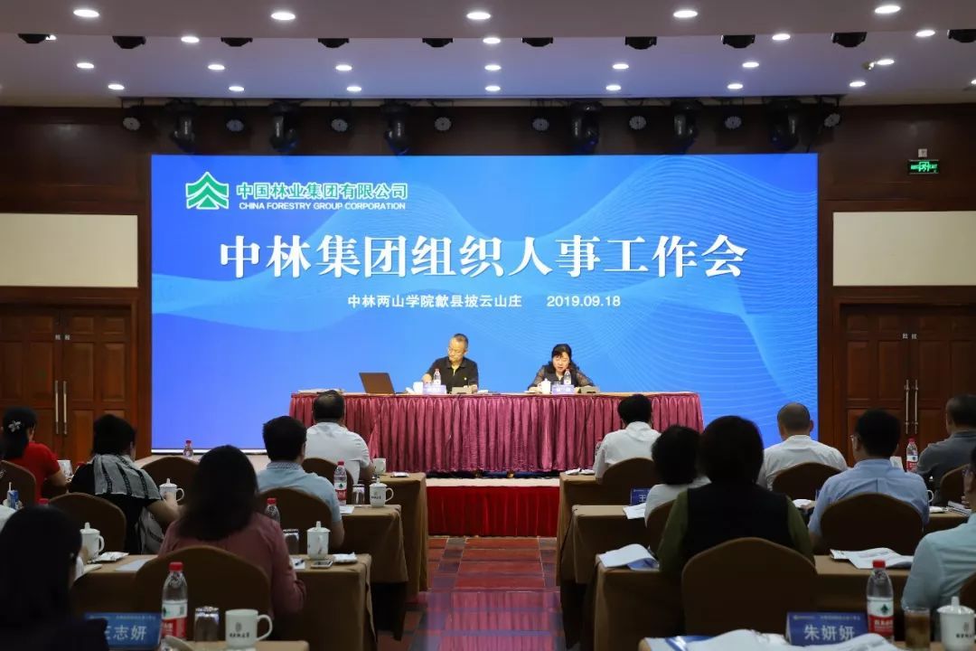 合百集团：公司已召开2025年“元旦春节”双节动员大会