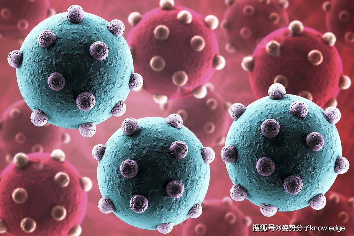 生物股份:公司将对全球禽流感的流行病趋势保持密切关注,并继续为国内禽类养殖企业提供安全、有效的禽流感疫苗产品