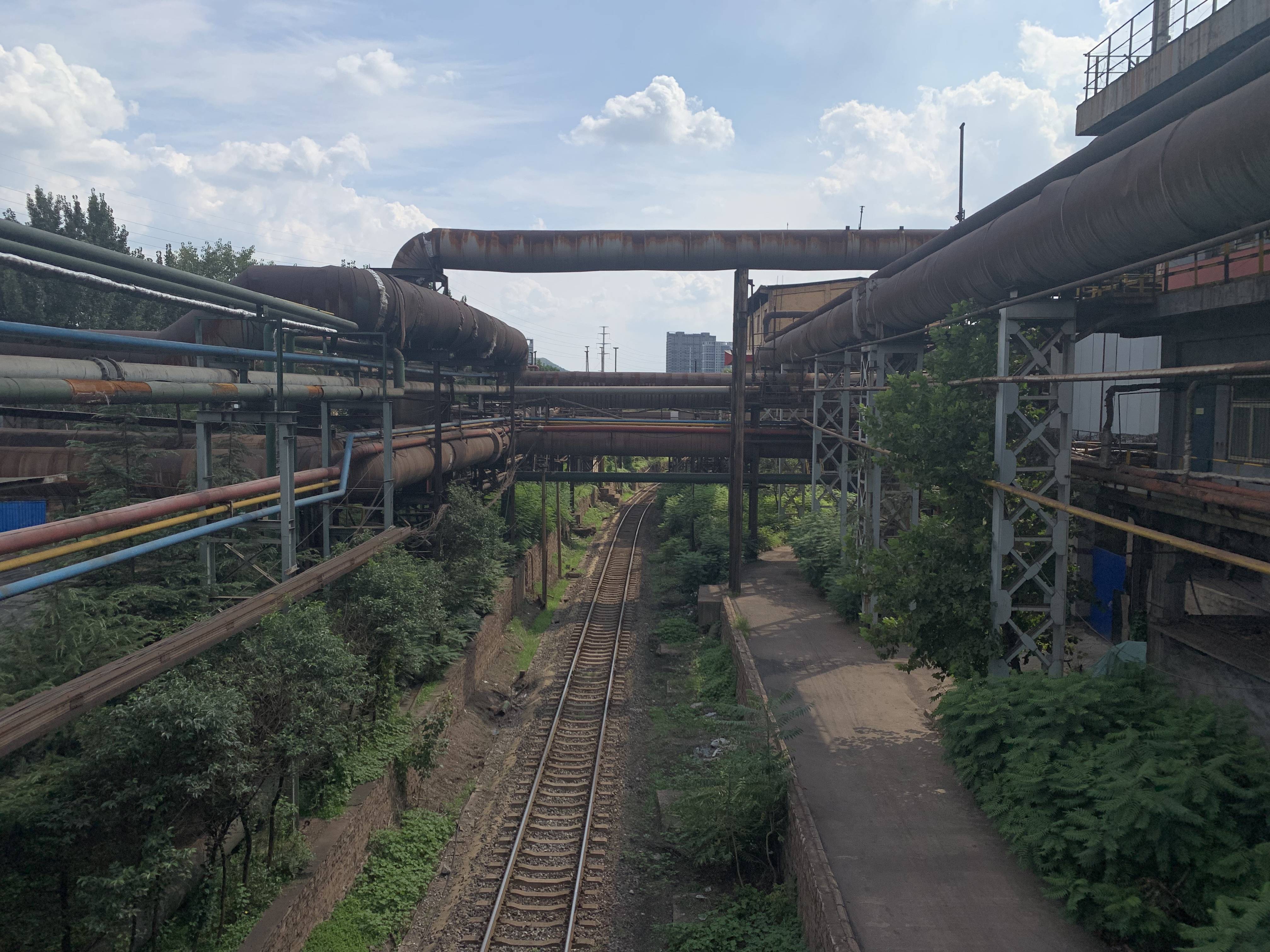 山东钢铁：全年公司股票价格涨幅5.84%位列钢铁类上市公司第9位