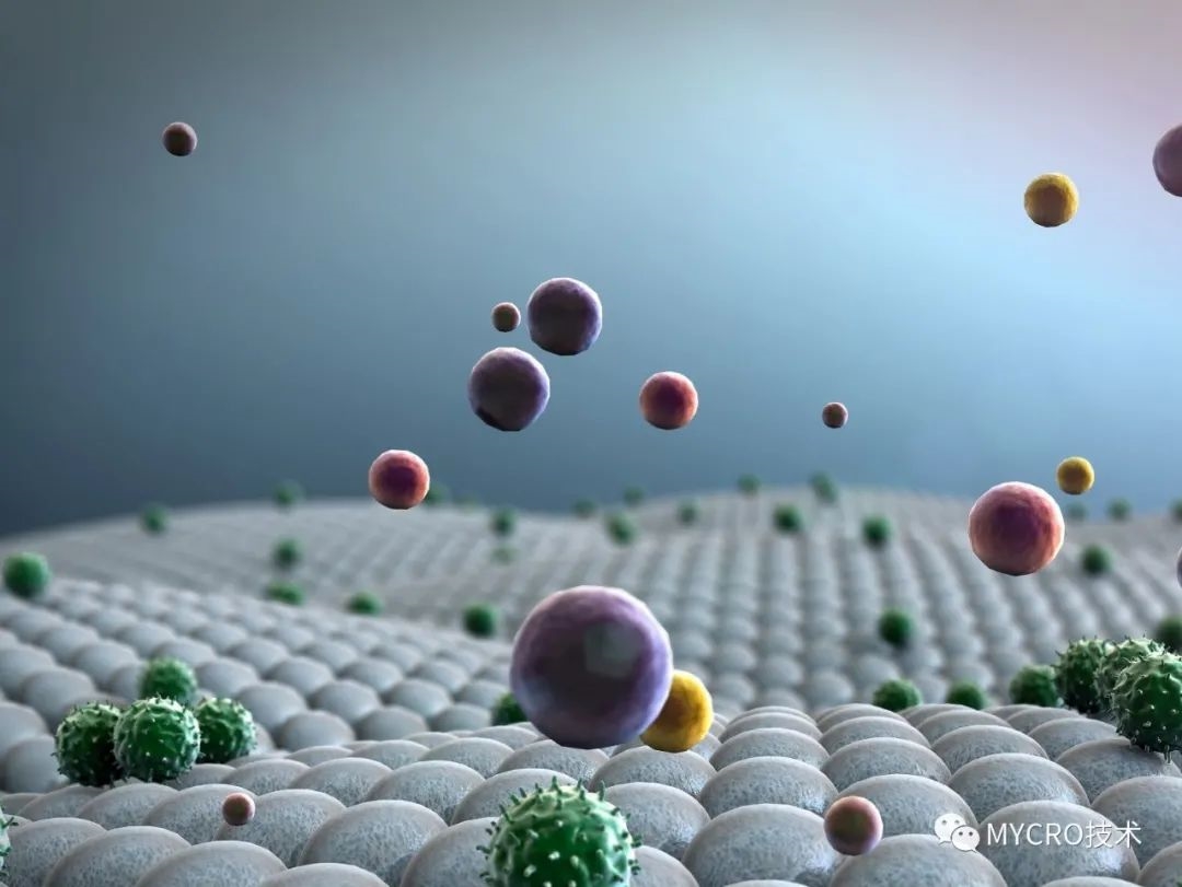 纳微科技：公司的大分子填料最主要应用于抗体类新药项目