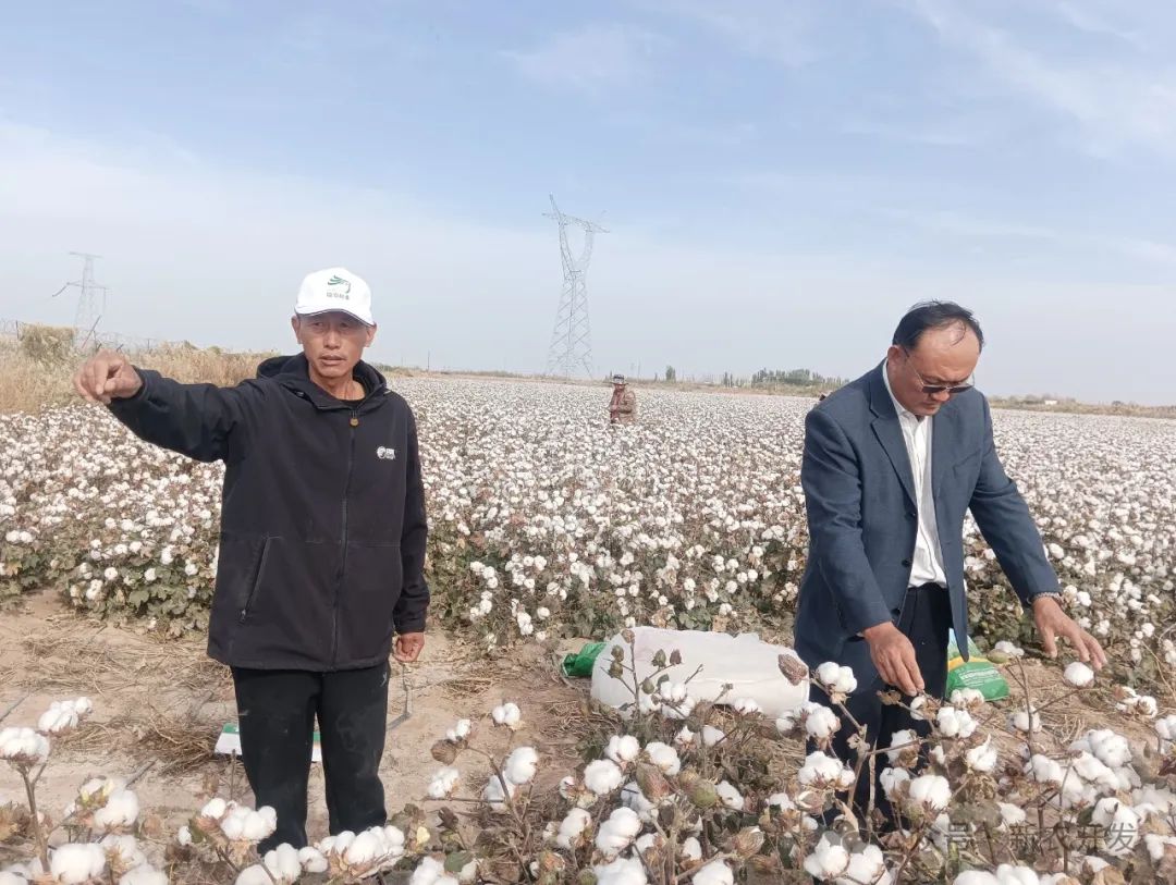 财报速递：新农开发2024年全年净利润3183.15万元