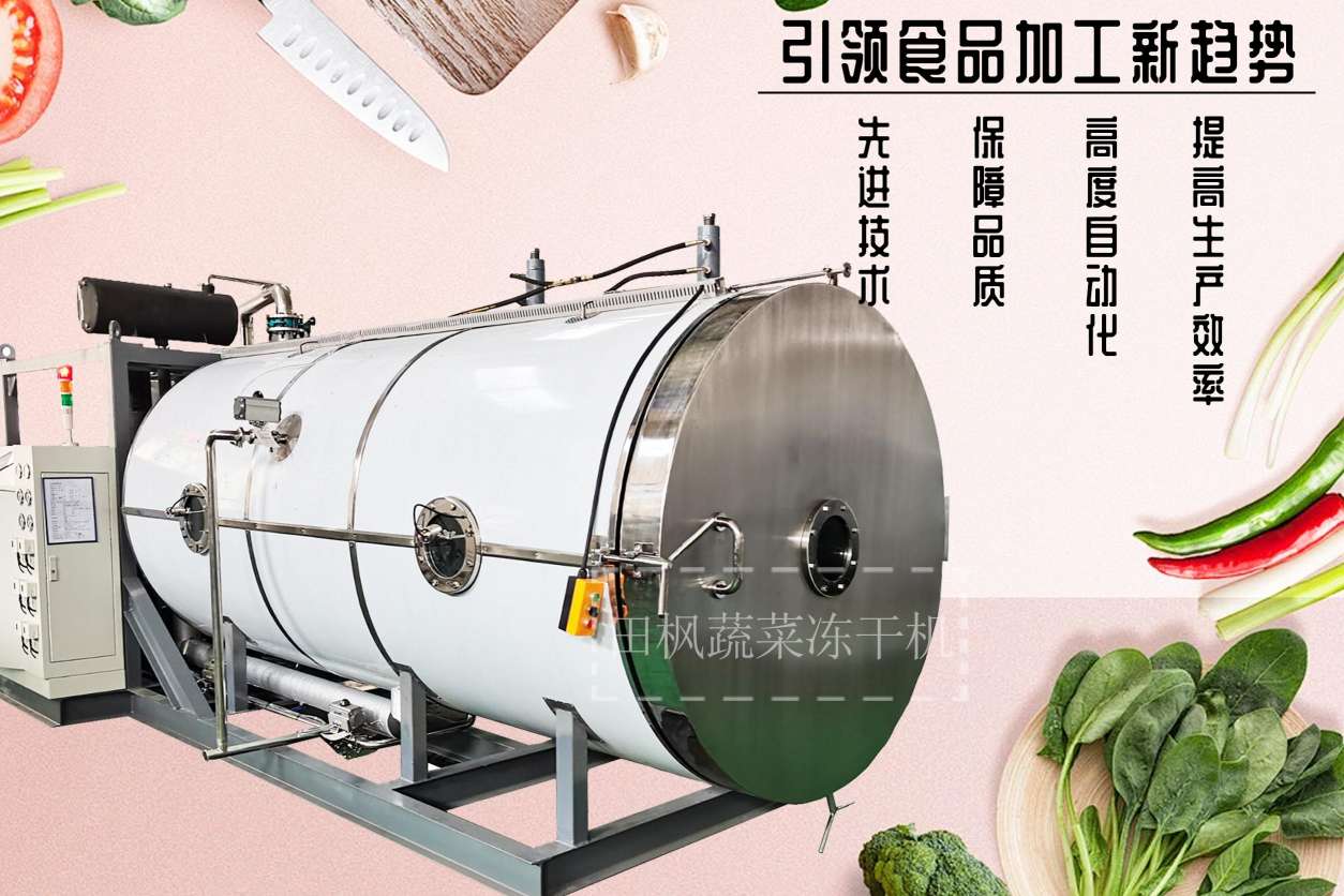 2024年中国冻干食品行业工艺技术分析 将微波技术应用于真空冷冻干燥中冻干食品最具有潜力的研究方向之一【组图】