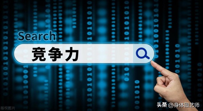 通信行业：Manus AI创新引领，算力应用共振超预期