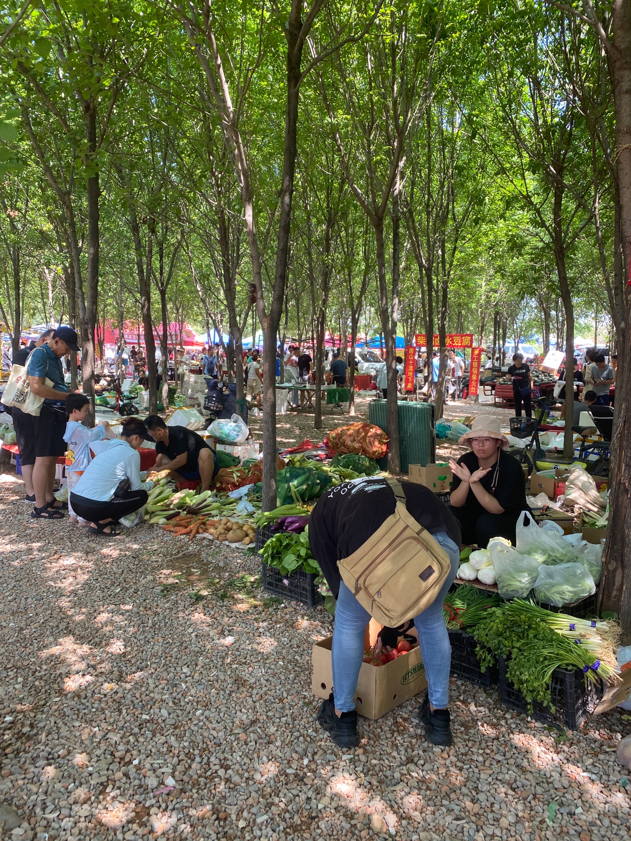 大佬：现在投资就像种草，绝不清仓