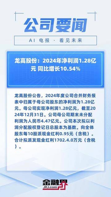 财报速递：飞南资源2024年全年净利润1.28亿元