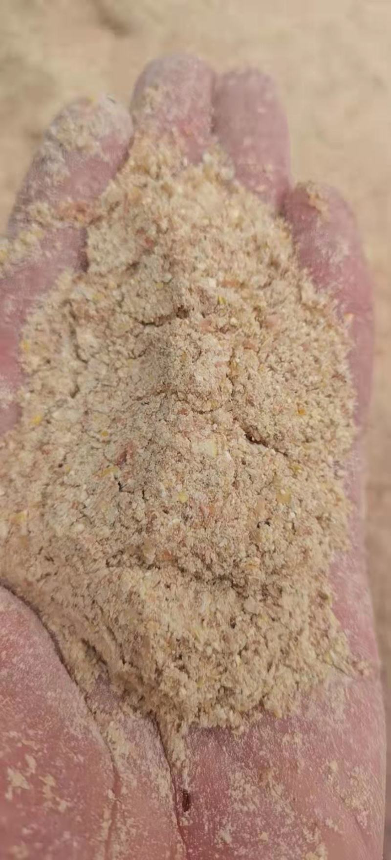路德环境：公司的生物发酵饲料产品成为替代豆粕和玉米的上乘之选