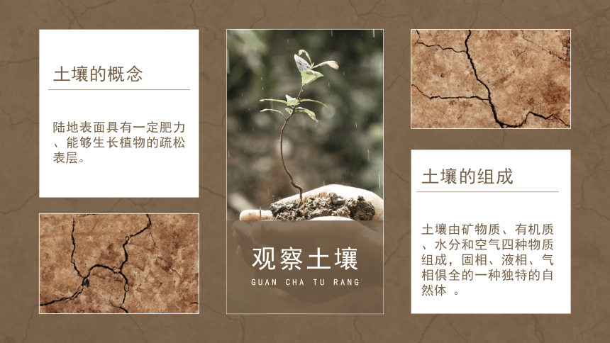 莱伯泰科（688056）新增【土壤修复】概念