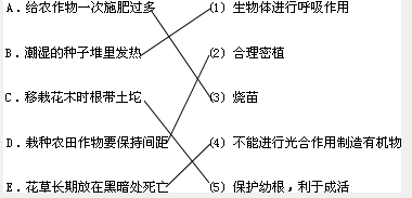 莱伯泰科（688056）新增【土壤修复】概念