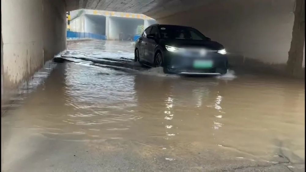 雨季来临食用菌产销两旺！今年已注册相关企业6.4万家