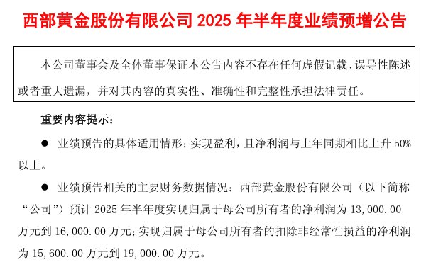 财报速递：巍华新材2025年半年度净利润8315.32万元