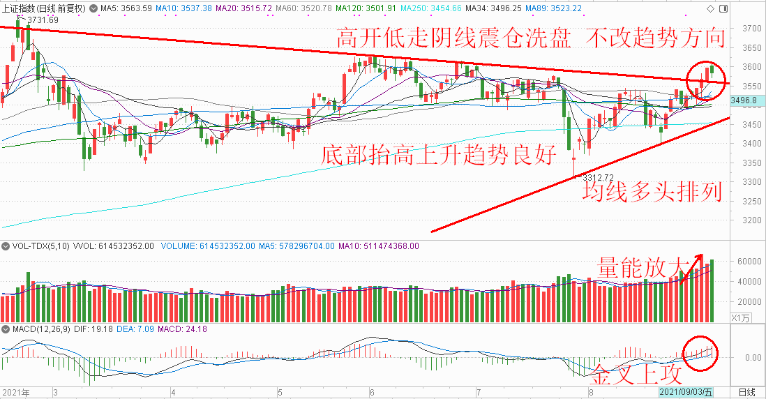 广发基金投顾团队：科创50指数节后波动，高弹性背后机遇与风险并存