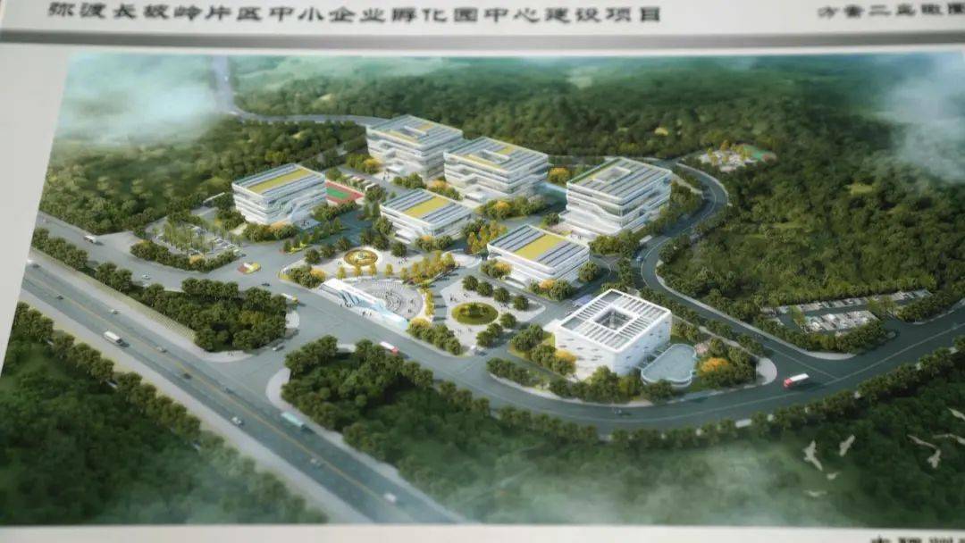 民政部副部长胡海峰答每经问:过去这几年,我国推进整治“僵尸型”社会组织7.5万家