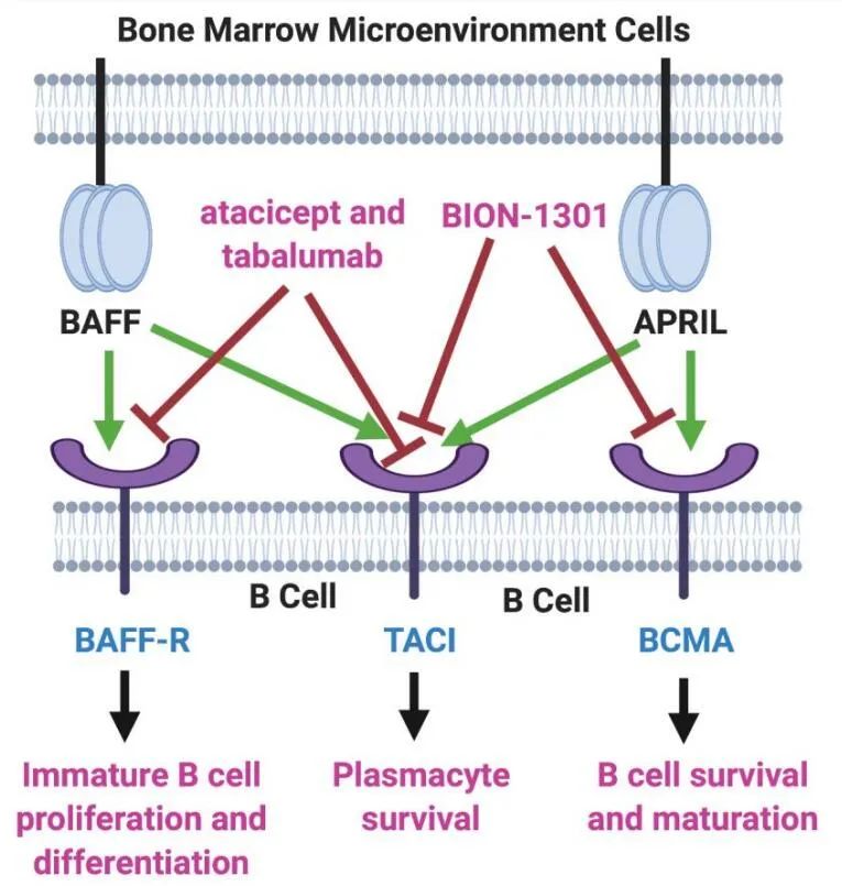 IBD治疗：MNC押注大市场，关注新靶点新机制