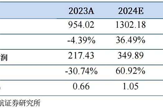 希磁科技冲击港股IPO，专注于磁性传感器领域，2023年收入下滑