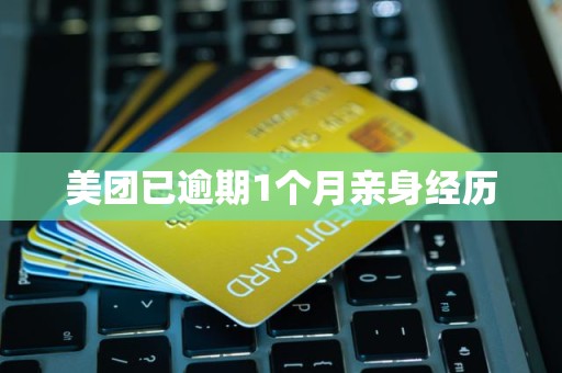 新研股份、山东华鹏同时公告:债务逾期!