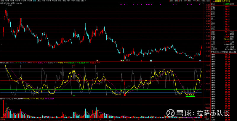 异动快报：税友股份（603171）10月31日10点58分触及涨停板