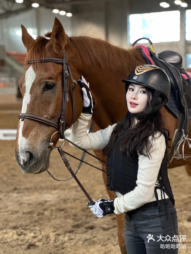 中产家庭养娃盯上骑马,企查查:今年马术企业注册量已超去年全年