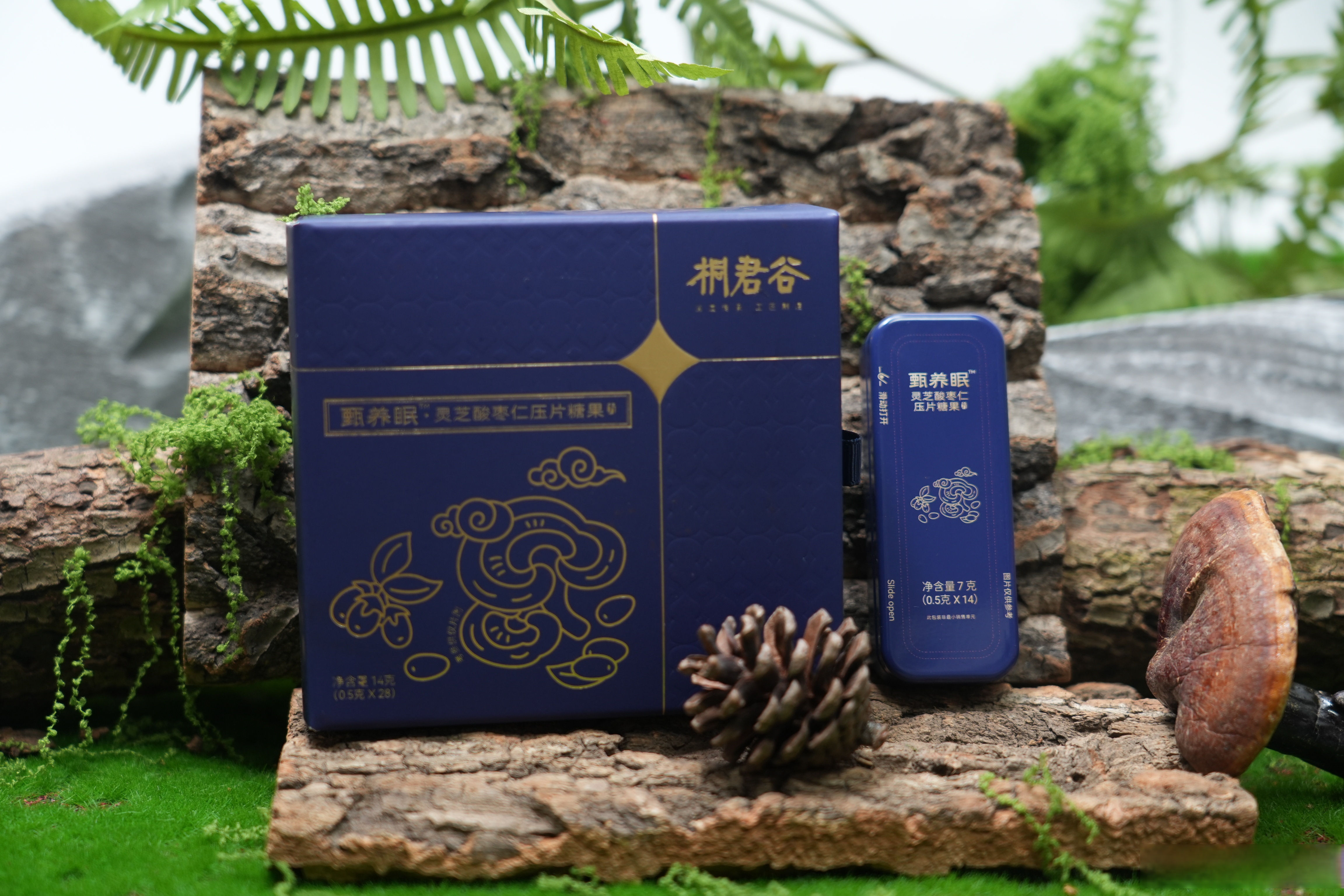 “聚势拓新境竹梦共潮生”2025竹叶青酒全国经销商大会在太原举行