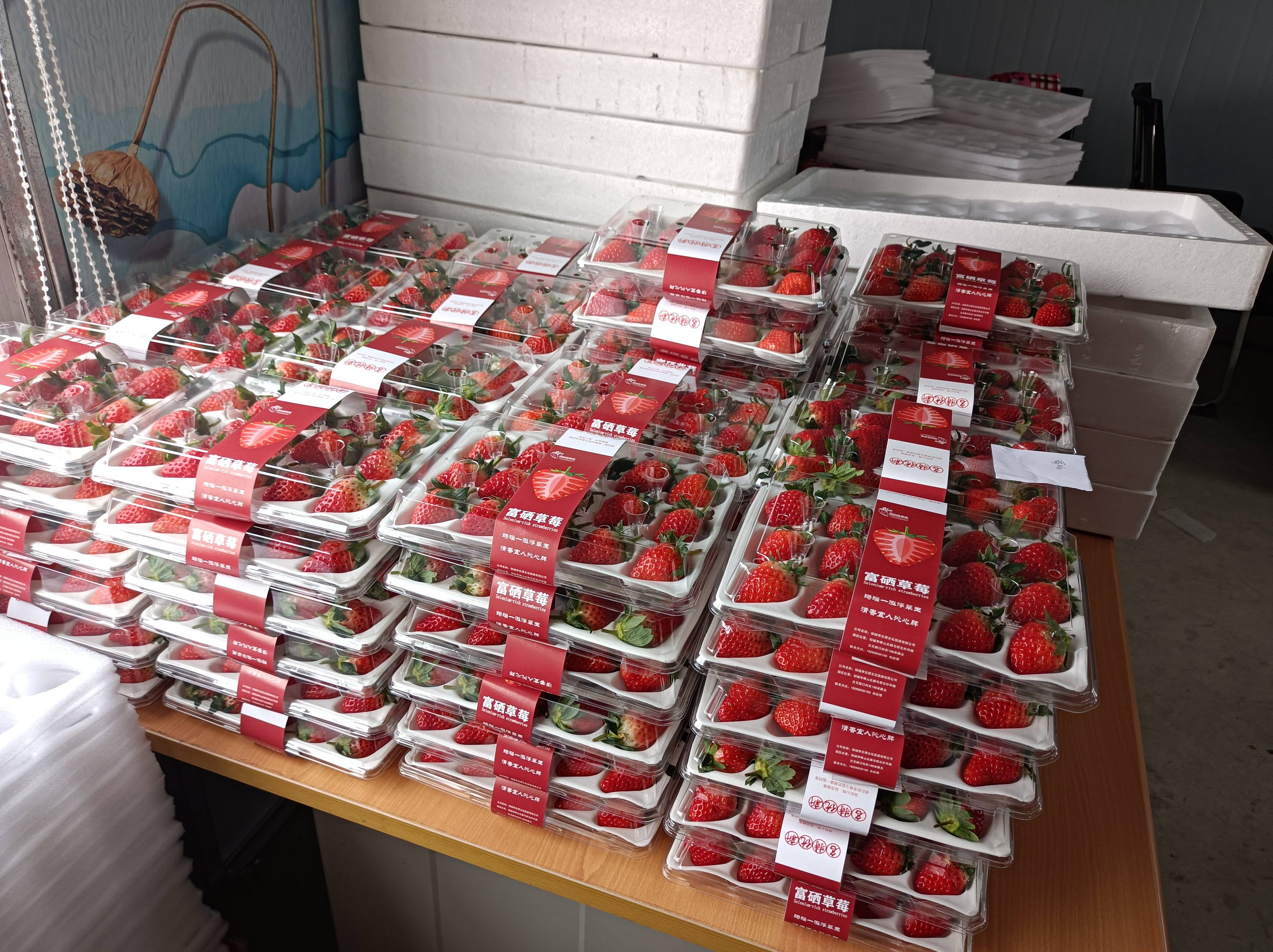 资本活水润沃野：国有基金赋能农业产业高质量发展