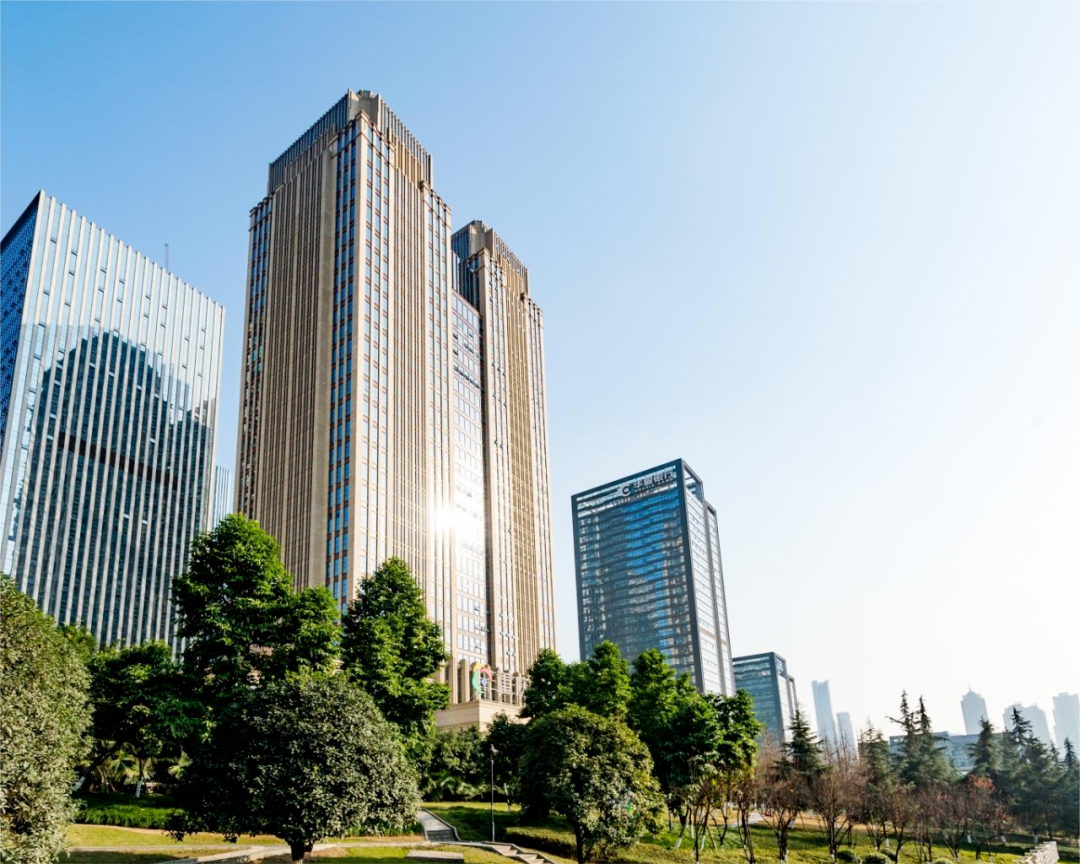 智洋创新:12月11日接受机构调研,华夏基金、中泰证券等多家机构参与