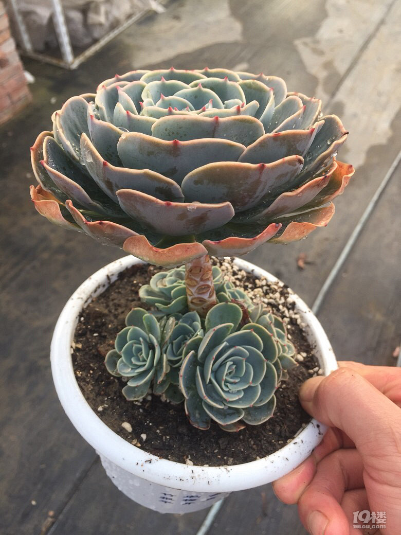 投资杭州 | 一文看懂杭州市生命健康发展现状与投资机会前瞻（附生命健康产业现状、空间布局、投资机会分析等）