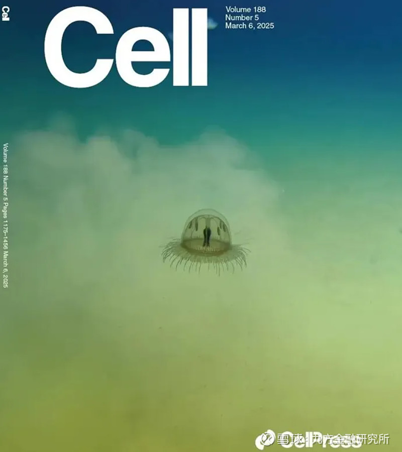 2025年中国深海科技行业产品现状 深海装备为深海技术落地提供了硬件载体【组图】