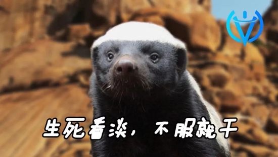 通信行业研究：阿里考虑平头哥拆分上市，天孚通信发布业绩预告