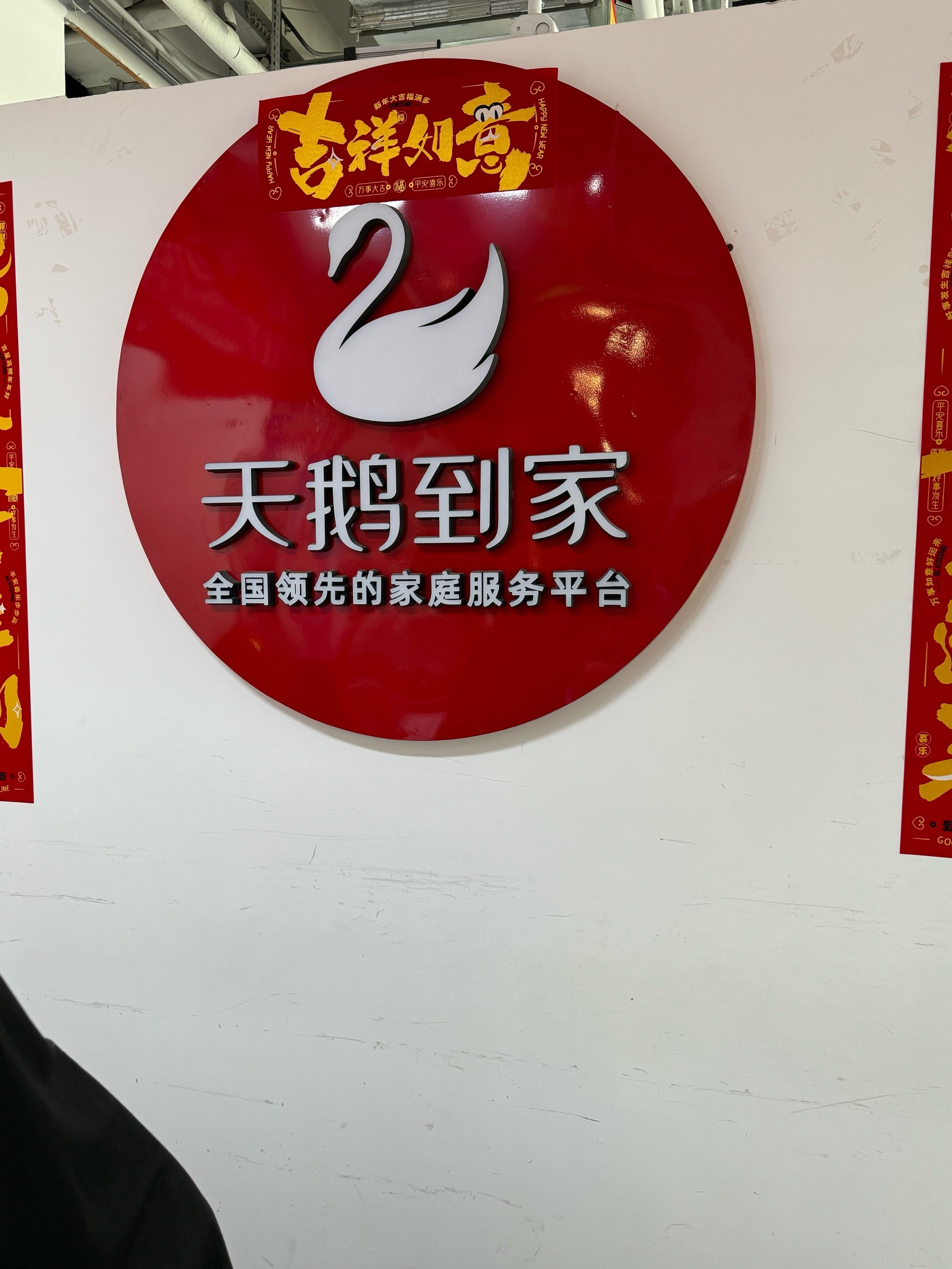 大鹅成年货新宠，超八成鹅养殖相关企业成立5年以上