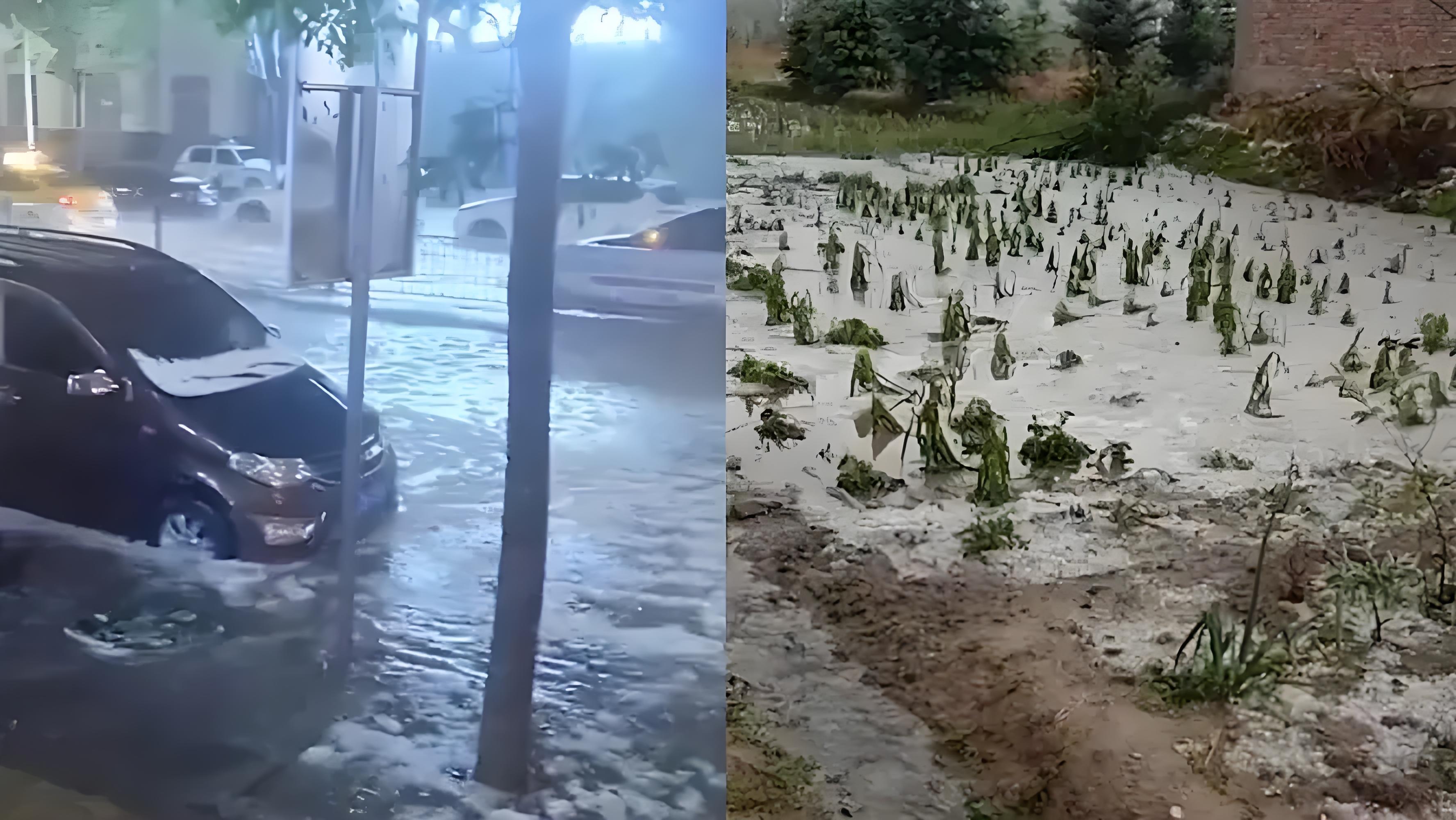 福建广东广西海南等地有暴雨到大暴雨 北方多对流天气 蒙晋冀黑等地有强降雨