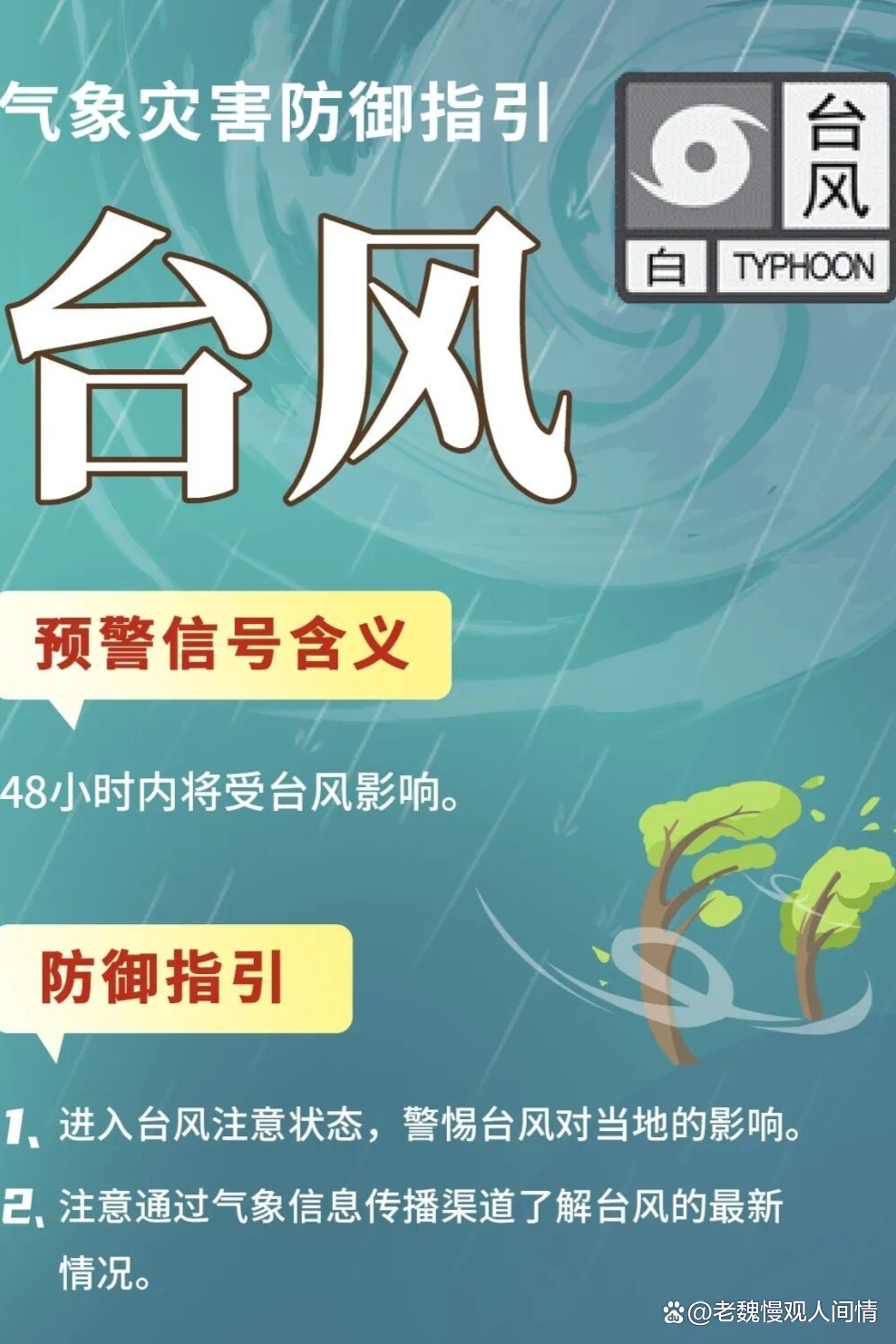 罕见！“沙德尔”停止编号后再度加强为台风 最新路径